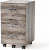 imageVINGLI 3Drawer File Cabinet with Lock Wood Rolling Filing Cabinets for Home Office Mobile Printer Stand Under Desk File Organizer for Letter Sized Files 26quot HCaster Included OakGray Oak