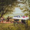 imageVINGLI 4 Foot Party Ice Cooler Folding Table Portable Tailgate Camp Fishing Cleaning Plastic with Matching Skirt Ice Table for Party BBQ Camping PicnicWhite