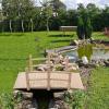 imageVINGLI 5 ft Garden Bridge Classic Wooden Arch with Safety Rails Stained Finished Footbridge Decorative Pond Landscaping Backyard Creek or FarmNatural Wood