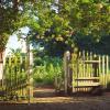 imageVINGLI Garden Arbor Arch Archway for Wedding Ceremony Party Steel Garden Trellis for Plant Climbing Christmas Decorations Pergola for Backyard Lawn BlackBlack