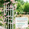 imageVINGLI Vinyl Garden Arbor PVC Wedding Arch for Ceremony Party Garden Trellis for Climbing Plants Outdoor Arch Backdrop Stand for Garden Backyard LawnWhite