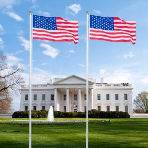 imageVINGLI Upgraded 20FT Sectional Aluminum Flagpole Thick Tube Halyard Flag PoleKit Free 2733mph 3x5 USA American Flag Golden Ball Top Halyard Rope PVC SleeveOutdoor Residential Garden Gazebo2pcs25FT