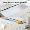 imageVINGLI Bunk Bed Twin Over Twin with 2 Storage DrawersRGB LEDCharging Station Convertible Solid Wood Bunk Bed Frame with Ladders WhiteWhite
