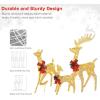 imageVINGLI Lighted Christmas Reindeer Family Set Outdoor Decorations Prelit 270 LED Lights Weather Proof Gold Deer Family Set of 3 Indoor Home Outdoor Yard DecorGold Deer Set