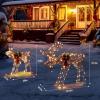 imageVINGLI Lighted Christmas Reindeer Family Set Outdoor Decorations Prelit 270 LED Lights Weather Proof Gold Deer Family Set of 3 Indoor Home Outdoor Yard Decor2 PCS SetBrown Moose Family