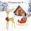 imageVINGLI Lighted Christmas Reindeer Family Set Outdoor Decorations Prelit 270 LED Lights Weather Proof Gold Deer Family Set of 3 Indoor Home Outdoor Yard DecorGold Sleigh Set