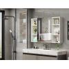 imageVINGLI 36Inch Medicine Cabinet with Lights Lighted Medicine Cabinet with Mirror Bathroom Vanity Mirror with StorageWall Mounted AntiFog Dimmable Light and Color Adjustment59quot D x 36quot W x 24quot H59D x 3599W x 24H