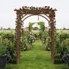 imageVINGLI 85in Wooden Arbor Garden Arch Wedding Arch for Ceremony Wood Trellis for Plant Climbing Christmas Decor Pergola for Garden Backyard Lawn Brown