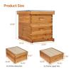 imageVINGLI 10 Frames Beehive Complete Beehive Kit Includes 1 Deep Boxes 1 Medium Box Frames and Waxed Foundations for Yard Field Bee Farm 2 Layer2 Layer