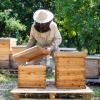 imageVINGLI 10 Frames Beehive Complete Beehive Kit Includes 1 Deep Boxes 1 Medium Box Frames and Waxed Foundations for Yard Field Bee Farm 2 Layer2 Layer