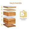 imageVINGLI 10 Frames Beehive Complete Beehive Kit Includes 1 Deep Boxes 1 Medium Box Frames and Waxed Foundations for Yard Field Bee Farm 2 Layer2 Layer