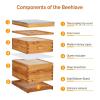 imageVINGLI 10 Frames Beehive Complete Beehive Kit Includes 1 Deep Boxes 1 Medium Box Frames and Waxed Foundations for Yard Field Bee Farm 2 Layer2 Layer