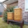 imageVINGLI 10 Frames Beehive Complete Beehive Kit Includes 1 Deep Boxes 1 Medium Box Frames and Waxed Foundations for Yard Field Bee Farm 2 Layer2 Layer