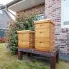 imageVINGLI 10 Frames Beehive Complete Beehive Kit Includes 1 Deep Boxes 1 Medium Box Frames and Waxed Foundations for Yard Field Bee Farm 2 Layer3 Layer