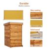imageVINGLI 10 Frames Beehive Complete Beehive Kit Includes 1 Deep Boxes 1 Medium Box Frames and Waxed Foundations for Yard Field Bee Farm 2 Layer3 Layer