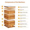 imageVINGLI 10 Frames Beehive Complete Beehive Kit Includes 1 Deep Boxes 1 Medium Box Frames and Waxed Foundations for Yard Field Bee Farm 2 Layer3 Layer