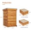 imageVINGLI 10 Frames Beehive Complete Beehive Kit Includes 1 Deep Boxes 1 Medium Box Frames and Waxed Foundations for Yard Field Bee Farm 2 Layer3 Layer
