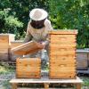 imageVINGLI 10 Frames Beehive Complete Beehive Kit Includes 1 Deep Boxes 1 Medium Box Frames and Waxed Foundations for Yard Field Bee Farm 2 Layer3 Layer