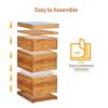 imageVINGLI 10 Frames Beehive Complete Beehive Kit Includes 1 Deep Boxes 1 Medium Box Frames and Waxed Foundations for Yard Field Bee Farm 2 Layer3 Layer