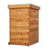 imageVINGLI 10 Frames Beehive Complete Beehive Kit Includes 1 Deep Boxes 1 Medium Box Frames and Waxed Foundations for Yard Field Bee Farm 2 Layer3 Layer