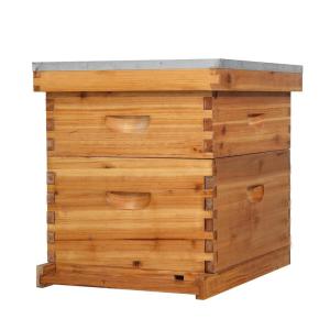 imageVINGLI 10 Frames Beehive Complete Beehive Kit Includes 1 Deep Boxes 1 Medium Box Frames and Waxed Foundations for Yard Field Bee Farm 2 Layer2 Layer