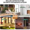 imageVINGLI 4FT Lighted Palm Tree Christmas Tree Outdoor for Outside Patio Pool Yard Holiday Decor Artificial Light up with Lifelike Leaves and Rope LEDs5FT