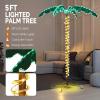 imageVINGLI 4FT Lighted Palm Tree Christmas Tree Outdoor for Outside Patio Pool Yard Holiday Decor Artificial Light up with Lifelike Leaves and Rope LEDs5FT
