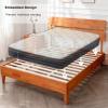 imageVINGLI Solid Wood Queen Size Bed Frame with Headboard MidCentury Modern Platform Panel BedWhiteBrown