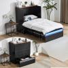 image:imageVINGLI Queen Size Rattan Murphy Bed with Storage Drawer SpaceSaving Cabinet Bed for KidsAdults amp GuestsWarm OffWhiteBlack