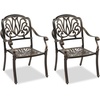 image:imageVINGLI Outdoor Dining Chairs Set of 4 with Cushion Aluminum Patio Chairs Cast Aluminum Patio Furniture Aluminum Outdoor Chairs for Backyard Poolside Balcony Bronze 4 Grid Back with CushionElizabeth