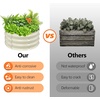 image:imageVINGLI 2 PCS Galvanized Raised Garden Beds Outdoor 2x2x1ft Round Raised Planter Boxes Outdoor Metal Raised Garden Bed for Vegetables White
