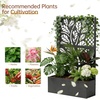 image:imageVINGLI 44 H Metal Raised Garden Bed with Trellis Outdoor Planter Box for Climbing Vegetables Fruits and Flowers Privacy Screen for Backyard Patio Balcony Black Treetree