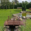 image:imageVINGLI Garden Bridge Classic Wooden Bridge with Safety Rails Decorative Arched Footbridge White 5 ftCarbonized Wood