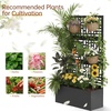 image:imageVINGLI Metal Raised Garden Bed with Trellis Outdoor Planter Box for Climbing Vegetables Fruits and Flowers Privacy Screen for Backyard Patio Balcony Traditional