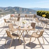 image:imageVINGLI PE Rattan Outdoor Dining Chairs Set of 4 Plastic Stackable Patio Chairs for Indoor Porch Restaurant GardenChampagneChampagne