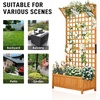 image:imageVINGLI Raised Garden Bed with Trellis Natural Planter Box with Privacy Screen 72 Inch Tall Wood Garden Boxfor Climbing Plants Flowers Herbs Outdoor Balcony amp Patio Decor Natural