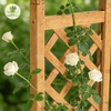 image:imageVINGLI Raised Garden Bed with Trellis amp Hanging Roof Wooden Garden Bed Outdoor Planter Box for Yard Garden Balcony Natural Wood Color Arched