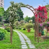 image:imageVINGLI Wooden Garden Arbor Heavy Duty Outdoor Garden Trellis with Gate for Ceremony Wood Trellis Garden Arch Pergola for Plant Climbing Patio Lawn Wedding with GateBasic