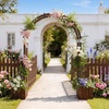 image:imageVINGLI Wooden Garden Arbor Heavy Duty Outdoor Garden Trellis with Gate for Ceremony Wood Trellis Garden Arch Pergola for Plant Climbing Patio Lawn Wedding with Gatewith Planter