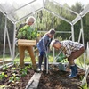 image:imageVingli Greenhouse for Outdoors Polycarbonate Heavy Duty Green House with Roof Vents for Winter Aluminum Tunnel Large Walkin Greenhouse for Outside Garden Backyard Easy Setup 6x8 FT Black6x10 FT Siliver