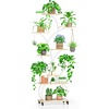 image:imagePlant Stand Indoor with 4 Grow Lights amp 3 Colors 61 Tall 10Tier Plant Shelf for Indoor Plants TreeShaped Display Stand on 360 Lockable Wheels for Living Room Balcony amp Office White and Oak