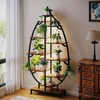 image:imagePlant Stand with Grow Lights 2Pack 61 Tall Indoor Plant Shelf with MultiColor Full Spectrum LED Grow Lights and 360 Lockable Wheels 10Tier TreeShaped Decorative Plant Rack Set of 2 for Living Room Balcony amp Office White and OakBlack