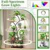 image:imagePlant Stand with Grow Lights 2Pack 61 Tall Indoor Plant Shelf with MultiColor Full Spectrum LED Grow Lights and 360 Lockable Wheels 10Tier TreeShaped Decorative Plant Rack Set of 2 for Living Room Balcony amp Office White and OakBlack