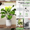 image:imagePlant Stand with Grow Lights 2Pack 61 Tall Indoor Plant Shelf with MultiColor Full Spectrum LED Grow Lights and 360 Lockable Wheels 10Tier TreeShaped Decorative Plant Rack Set of 2 for Living Room Balcony amp Office White and OakBlack