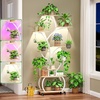 image:imagePlant Stand with Grow Lights 2Pack 61 Tall Indoor Plant Shelf with MultiColor Full Spectrum LED Grow Lights and 360 Lockable Wheels 10Tier TreeShaped Decorative Plant Rack Set of 2 for Living Room Balcony amp Office White and Oak2Pack White