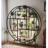 image:imagePlant Stand with Grow Lights 2Pack 61 Tall Indoor Plant Shelf with MultiColor Full Spectrum LED Grow Lights and 360 Lockable Wheels 10Tier TreeShaped Decorative Plant Rack Set of 2 for Living Room Balcony amp Office White and OakBlack