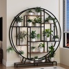 image:imagePlant Stand with Grow Lights 2Pack 61 Tall Indoor Plant Shelf with MultiColor Full Spectrum LED Grow Lights and 360 Lockable Wheels 10Tier TreeShaped Decorative Plant Rack Set of 2 for Living Room Balcony amp Office White and OakBlack