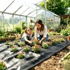 image:imageVINGLI 4300FT Weed Barrier Fabric 32oz Premium Heavy Duty Weed Block Mat Landscape Fabric Woven Geotextile Fabric Durable Weed Control Garden Cloth Ground Cover for Farm Driveway Vegetable65FT300FT