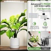 image:imageVINGLI Plant Stand Indoor with Grow Light 63 Inch Tall Lighted Plant Shelf Indoor with 5 LED Light StripsLarge Tiered Plant Stand for Indoor Growing FullMoon Round Metal Flower Display Shelves Modern Decorative Plant Rack for Living Room Balcony Black