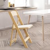 image:imageVINGLI Resin Folding Chairs with Cushion Foldable Plastic Chair with Comfortable Padded Seats Perfect for Event Party Indoor Outdoor White 4 PCNatural